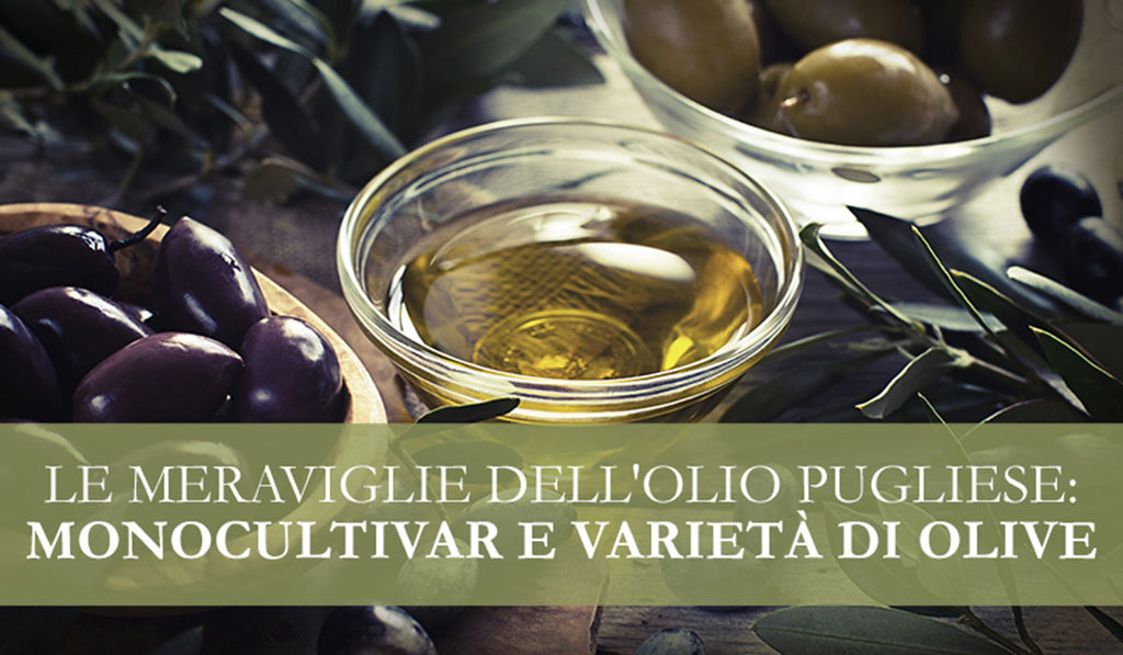 Le Meraviglie dell'Olio Pugliese: Monocultivar e Varietà di Olive